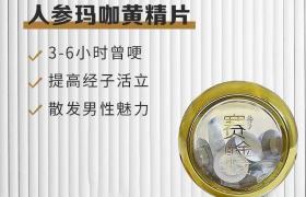 賽金戈人參瑪咖黃精片真的有用嗎?賽金戈丹丹幫你解釋真相